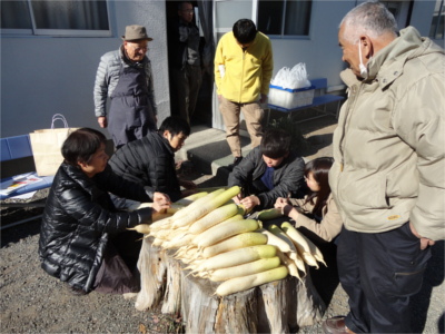 お土産の大根リボンつけ